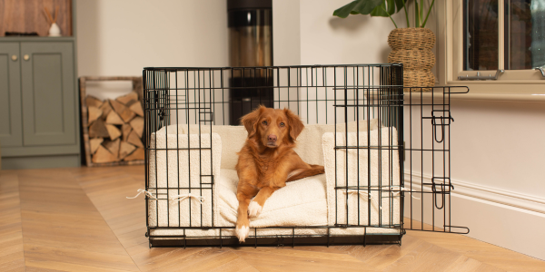 Ivory Boucle Cage cushion and bumper