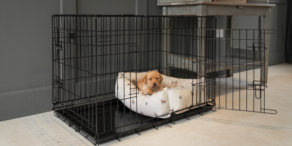 Puppy inside a dog cage