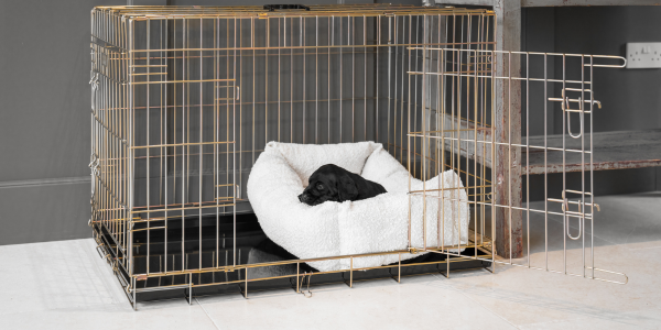 Black labrador puppy sleeping in an ivory dog bed inside a dog cage