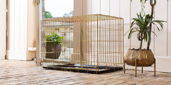 Gold dog cage