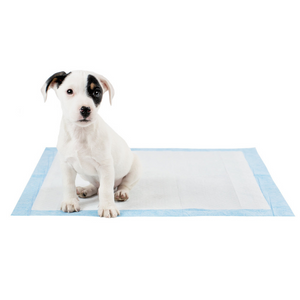 Puppy sat on puppy mat