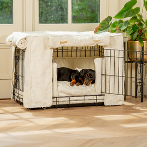 Black and Tan Dachshund sleeping in an ivory Bouclé cage set 