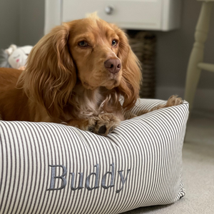 Regency Stripe Cozy and Calming Puppy Cage Bed