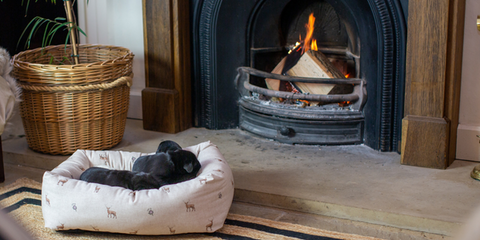 Two black labradors asleep in front of a fire in a stag print dog bed