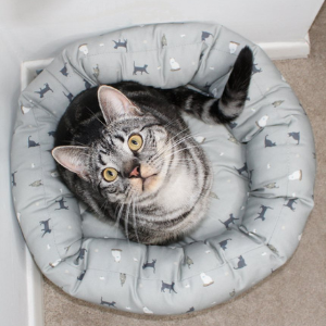 cat looking into the camera in a lords and labradors cat donut bed
