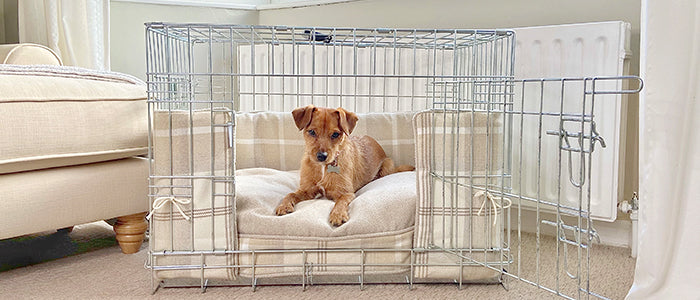 Norjack Terrier laid in a neutral tweed crate, bumper an cushion set
