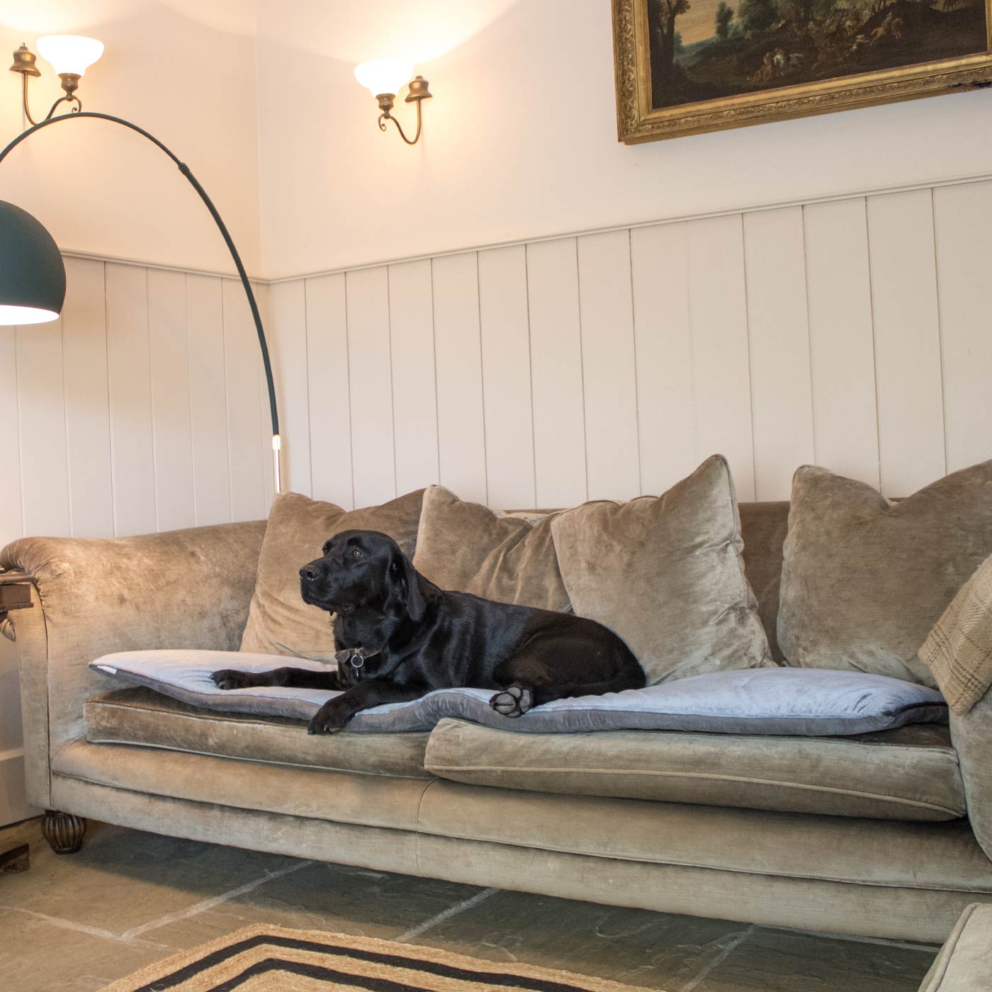 Luxury Savanna Sofa Topper | Dog Beds | Lords & Labradors – Lords &  Labradors USA