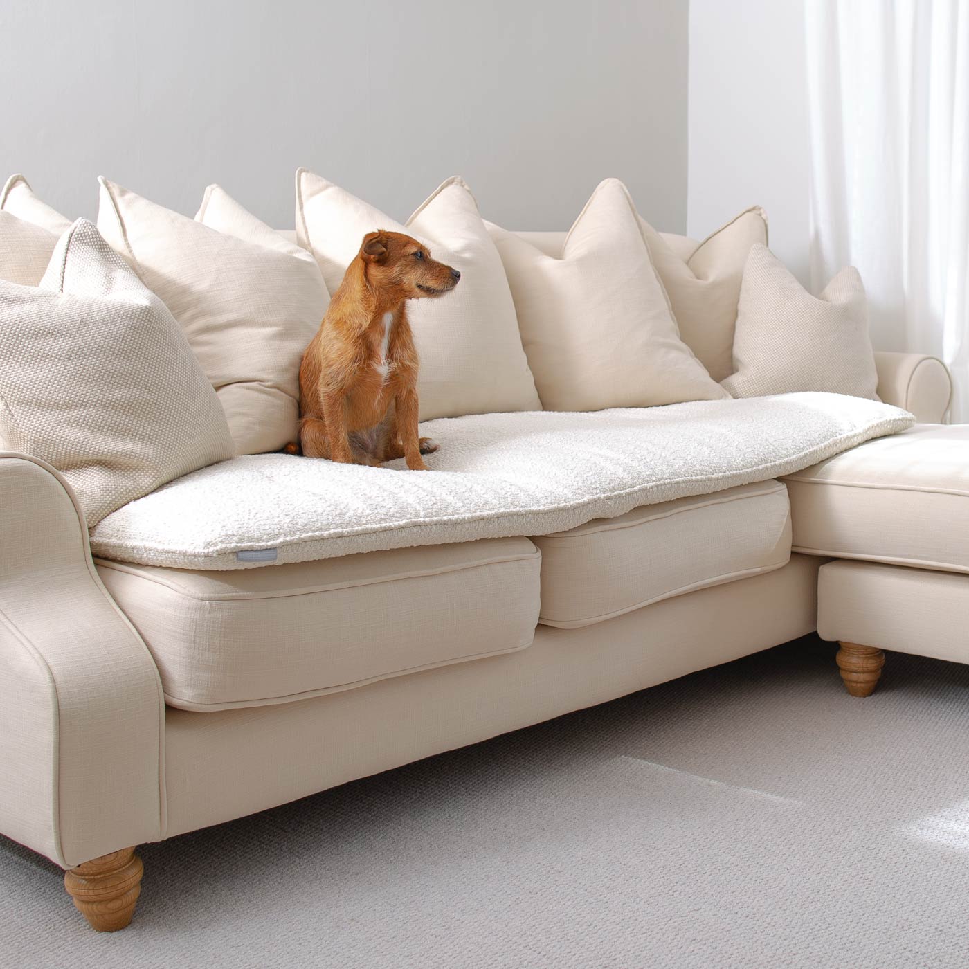 Luxury Bouclé Sofa Topper | Dog Beds | Lords & Labradors – Lords &  Labradors USA