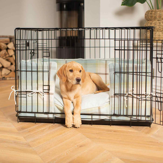 https://cdn.shopify.com/s/files/1/0563/4303/6076/products/LL-BUM-BDE-balmoral-duck-egg-crate-bumper-black-crate-front.jpg?v=1679659209&width=533