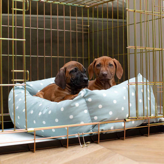 All Natural Dog Crate Bed with Comfy Wool Stuffing — The Best Choice for  Puppy Crate Training