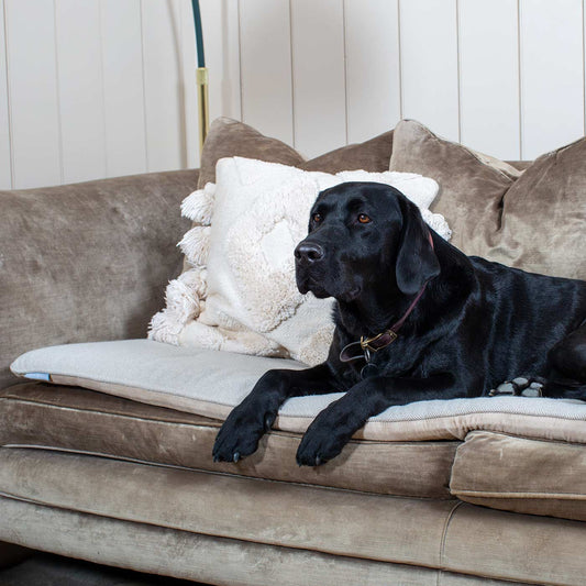 Luxury Savanna Sofa Topper, Dog Beds