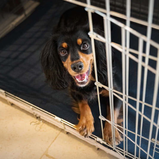 Pet Adobe Navy Waterproof Dog Crate Mat, 34 L X 21 W