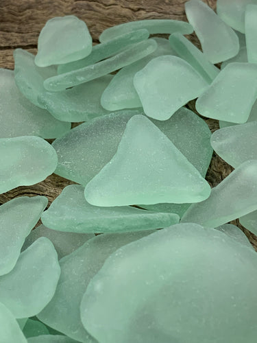 Small Aqua Light Aqua Sea Glass Frosty Seaglass Ocean Tumbled Beach Gl –  Florida Shells And More