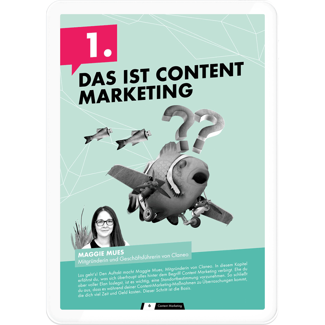 Content Marketing – Profi-Ratgeber Einblick