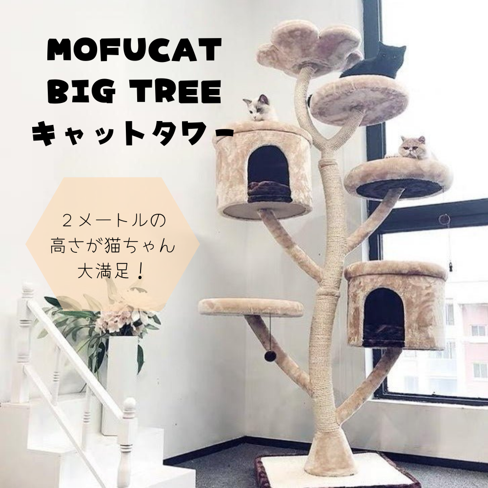 MOFUCATの人気上位商品！BIG TREEキャットタワー - MOFUCAT