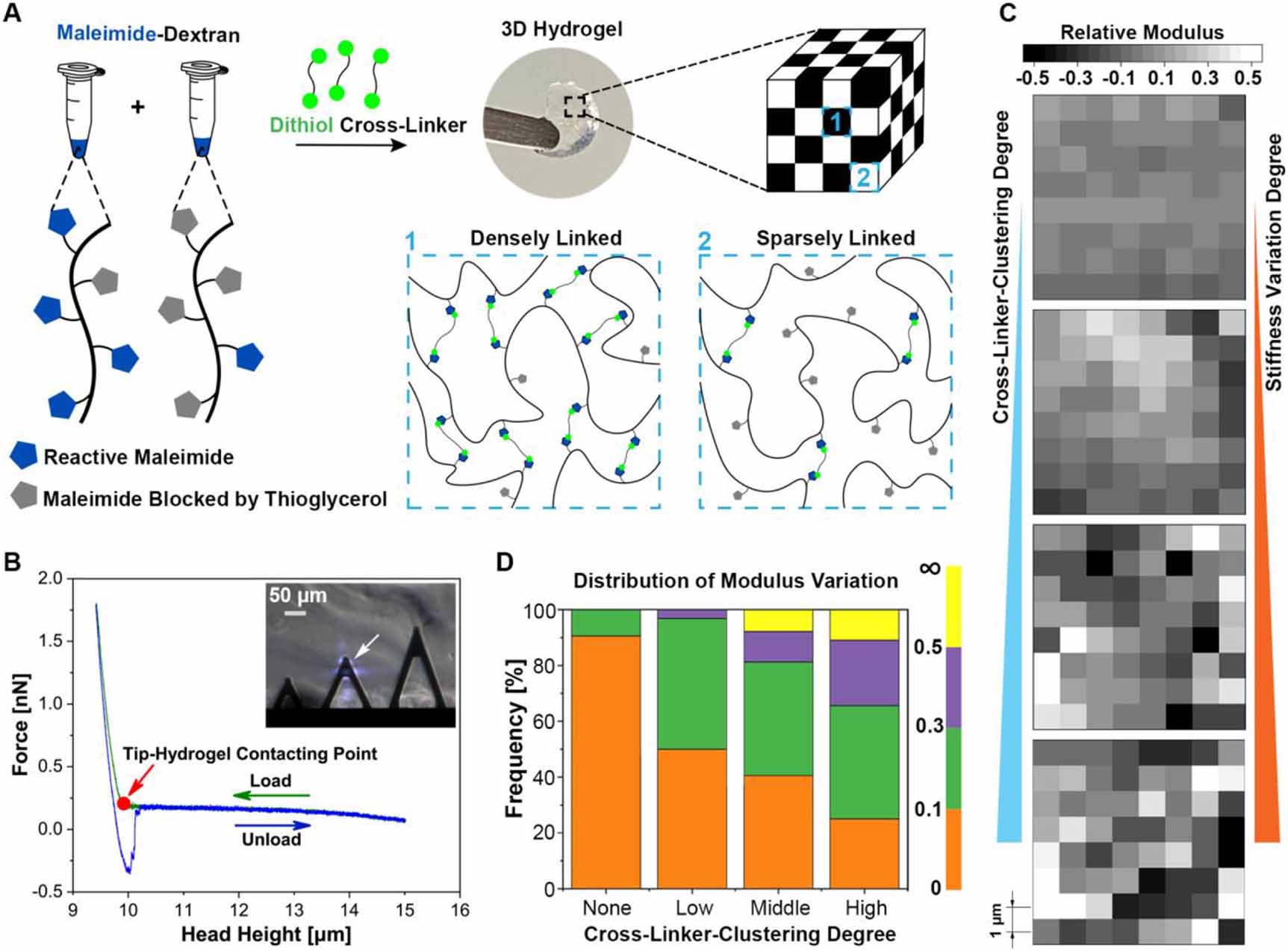Figure 1. Fabrication and characterization of hydrogels with variation in the local stiffness.