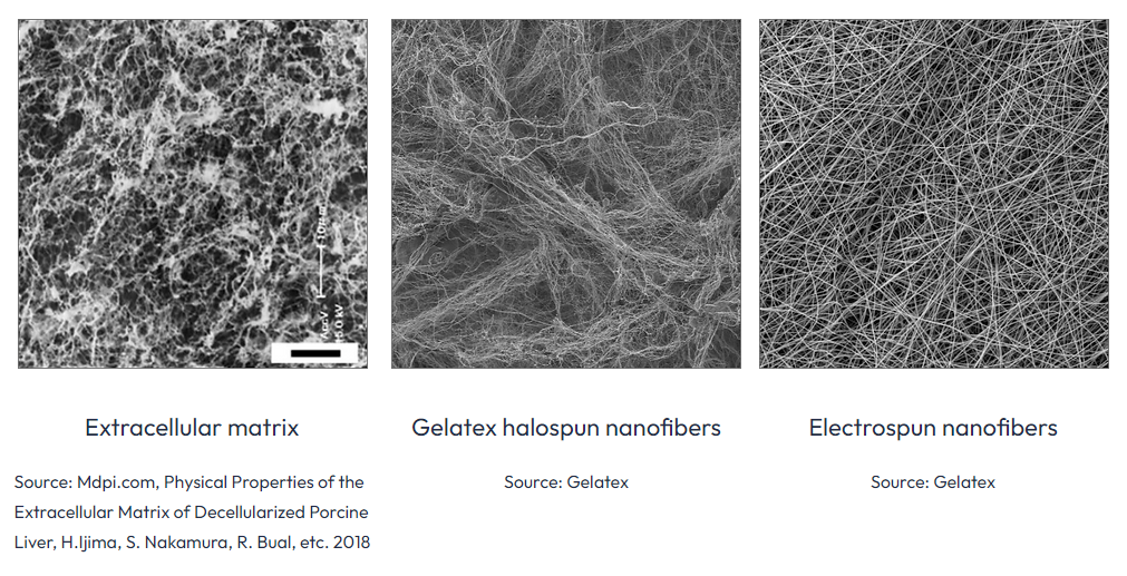 Gelatex halospun nanofibers closely resemble the natural extracellular matrix.