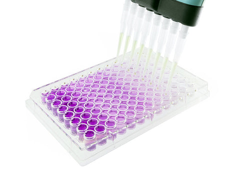 Biocolor Purple Jelley Hyaluronic Acid Assay Dye