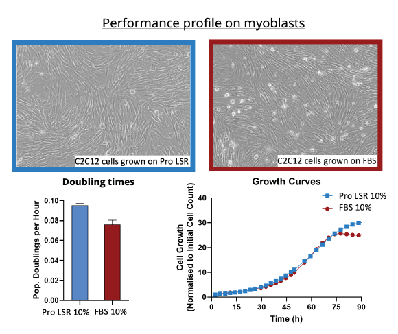 Comparison performance between FBS and Proliferum® LSR (10X) on myoblasts in DMEM/F12.