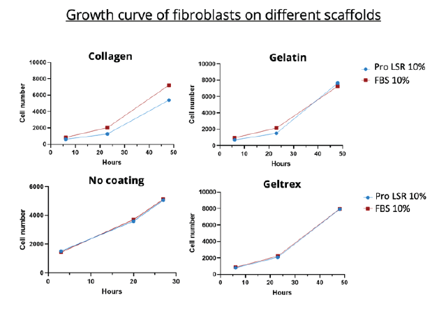 Comparison of growth of fibroblasts on different scaffolds between 10% FBS and 10% Proliferum® LSR 10X in DMEM/F12.