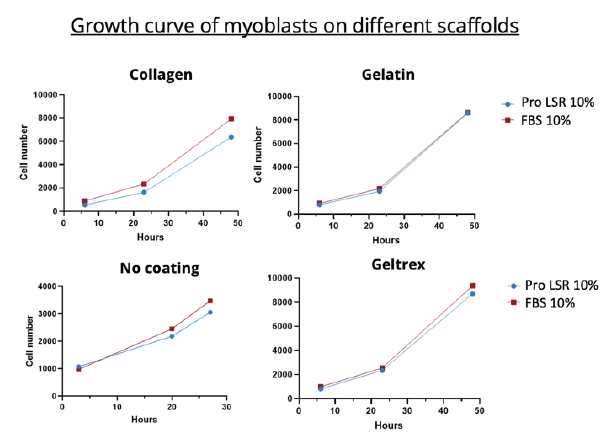 Comparison of growth of myoblasts on different scaffolds between 10% FBS and 10% Proliferum® LSR 10X in DMEM/F12.