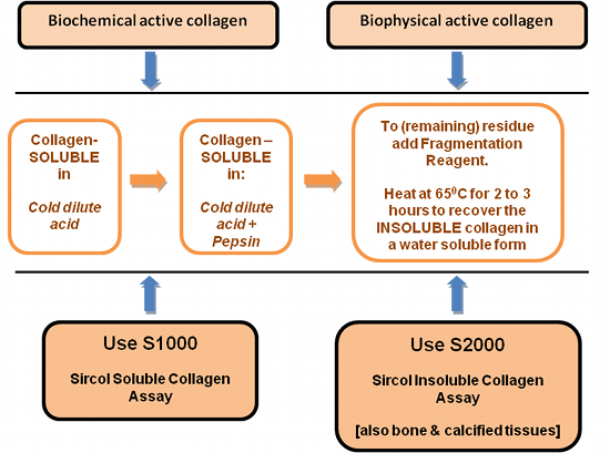 Chart to determine which Sircol™ Collagen Assay is best for your application.