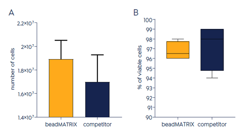 Bone marrow-derived mesenchymal stromal cells (MSCs) grown in a serum-free 3D culture setup using beadMATRIX or a competitor product. Cell expansion with beadMATRIX resulted in an increased yield (A) of highly viable MSCs (B).