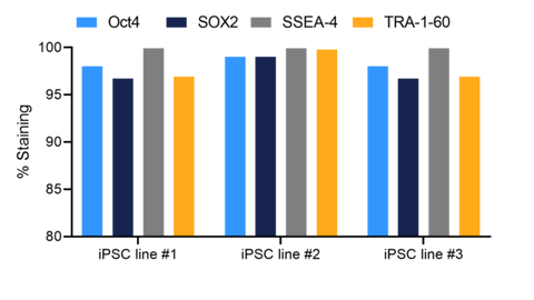 Consistent and high expression of stemness markers