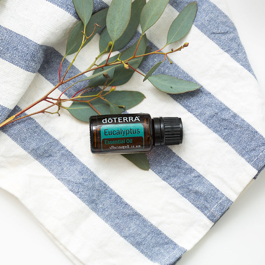 Image de l'huile essentielle doTERRA d'Eucalyptus