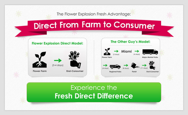 Farm Direct Flowers Infographic