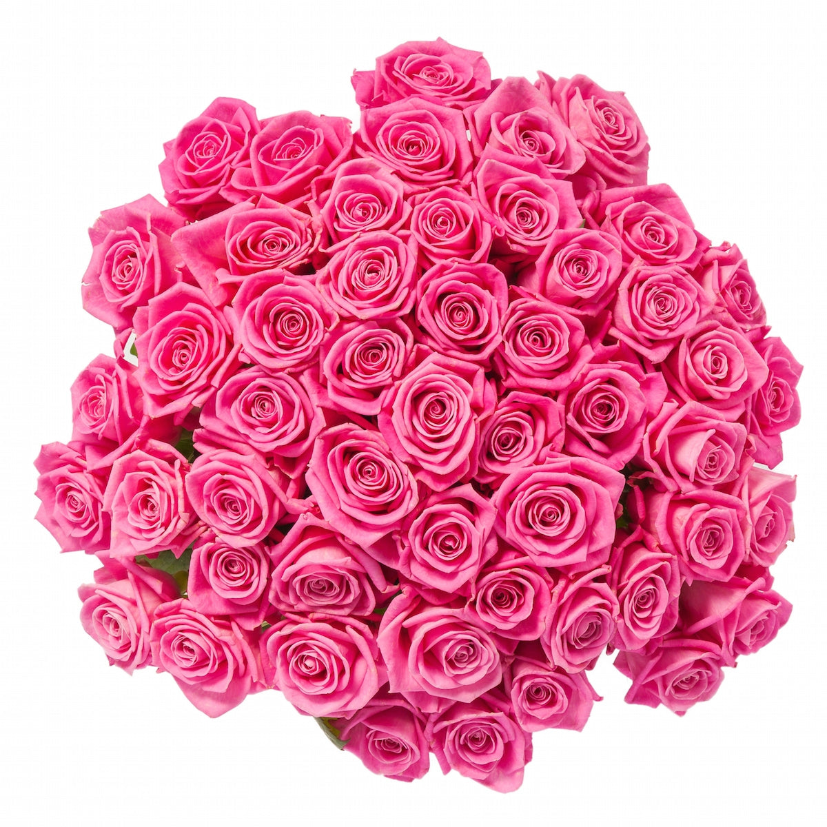 50 Fresh Pink Roses - Farm Direct Flower Delivery – Flower Explosion