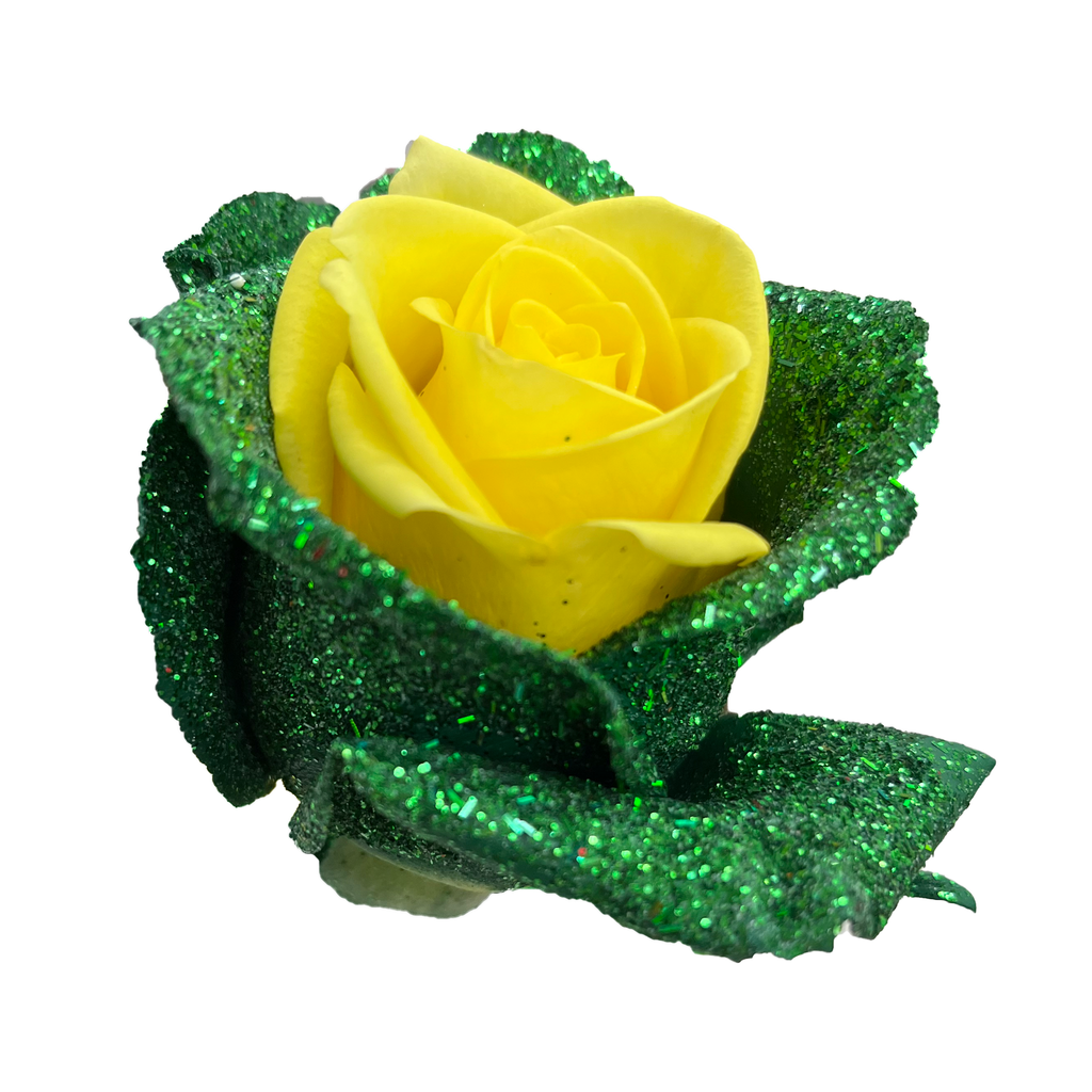 Leprechaun Roses - Fresh Pot of Gold - Flower Explosion