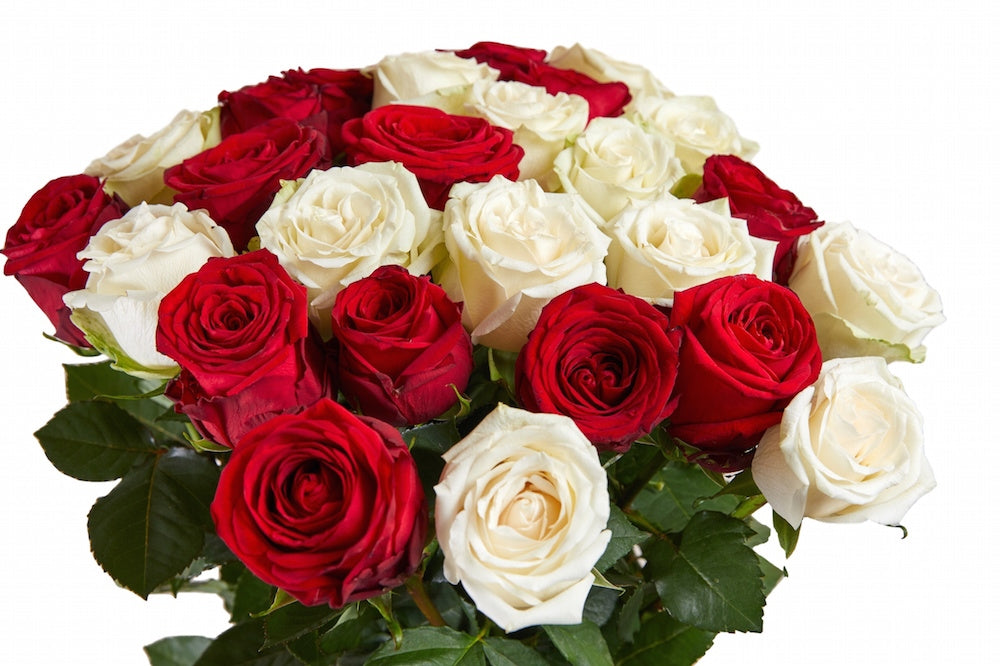 Assorted Roses - Red and White - 50 Stems