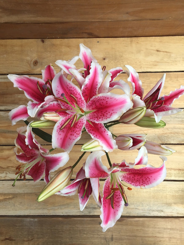 lily flowers bouquet