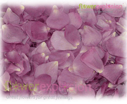 Wholesale Hot Pink Rose Petals, 3000-5000 Petals