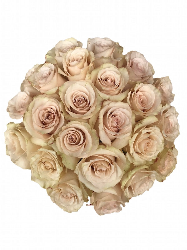 Sandy Roses, a beige - taupe colored rose.  Rose varieties, Flower guide,  Grass wedding