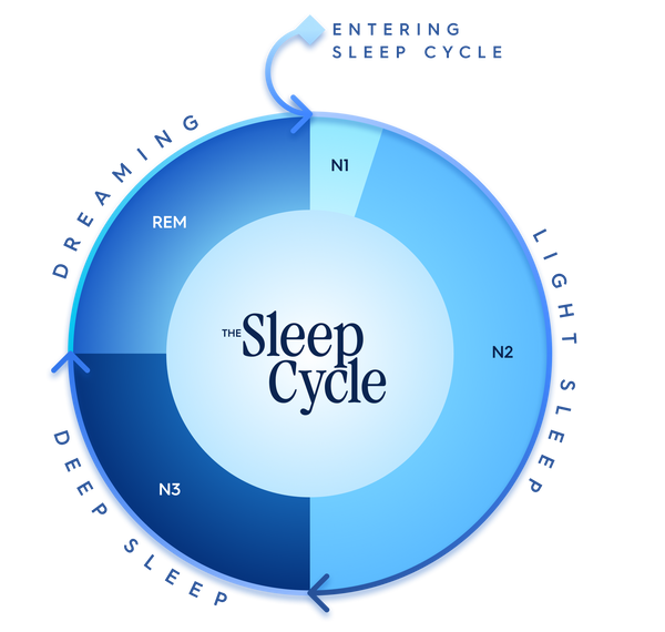 Illustration of sleep cycle: pie graph shows N1, N2, N3 and REM making up a complete circle
