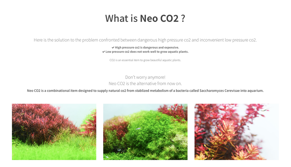 Neo Co2 System Complete Kit For Planted Aquarium Only Rs2299