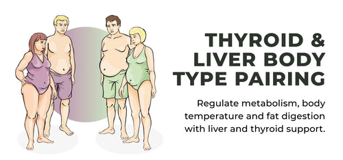 Header-1280-600-Thyroid-and-Liver-Body-Type-Pairing.jpg__PID:0d63c11e-5bbc-46a9-8a42-acca59515bf6