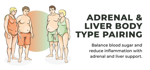 Adrenal and Liver Body Type Pairing