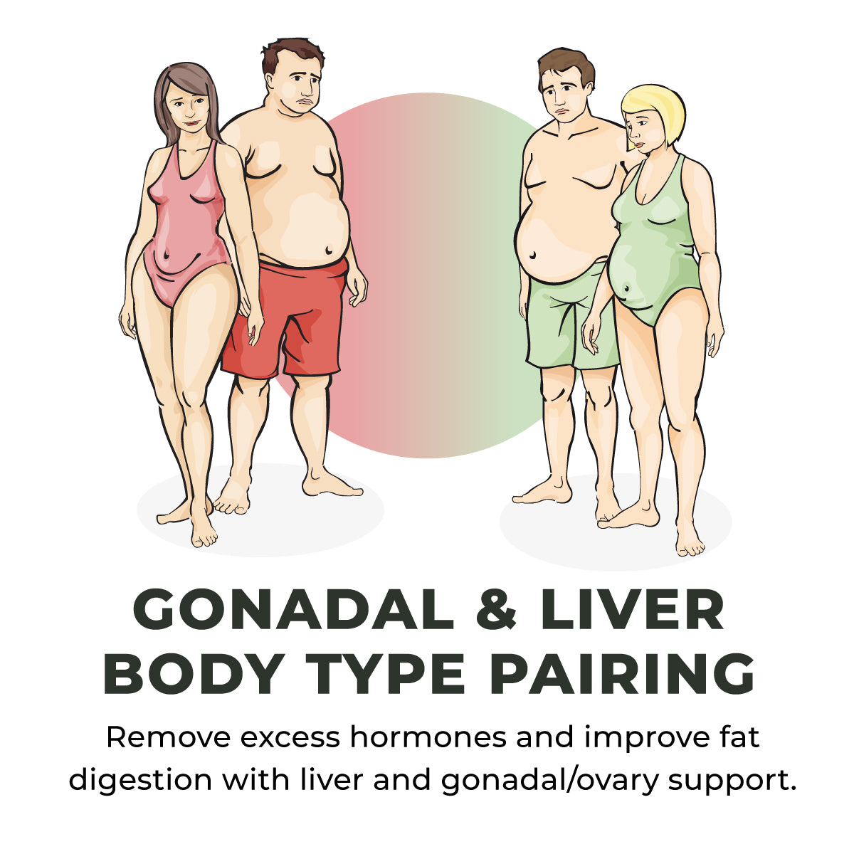 Mobile-Gonadal-and-Liver-Body-Type-Pairing.jpg__PID:8e8b2966-b492-4fed-a283-47b8a3a28b99