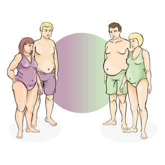 Thyroid and Liver Body Type Pairing