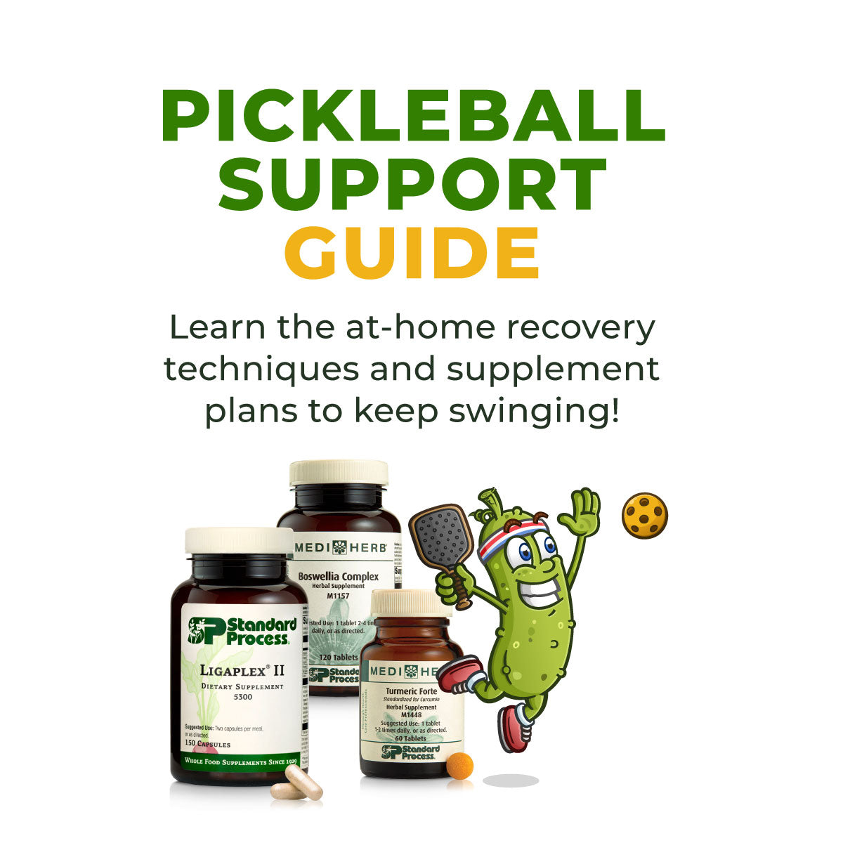 Pickleball-Support-Guide-Header-1200-1200.jpg__PID:5f29252c-60c9-4667-9b29-b1849686ba3f