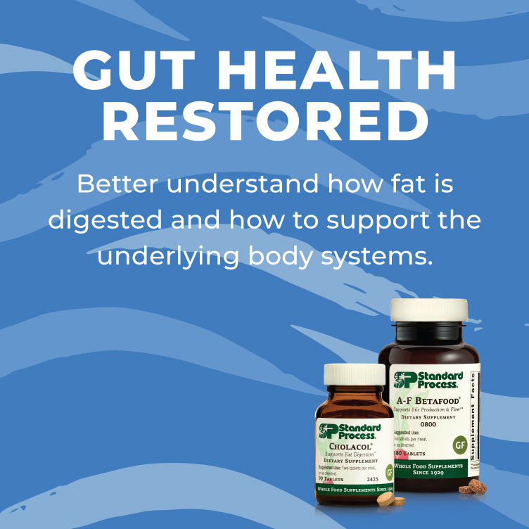 Restoring Gut Health - Fat Digestion