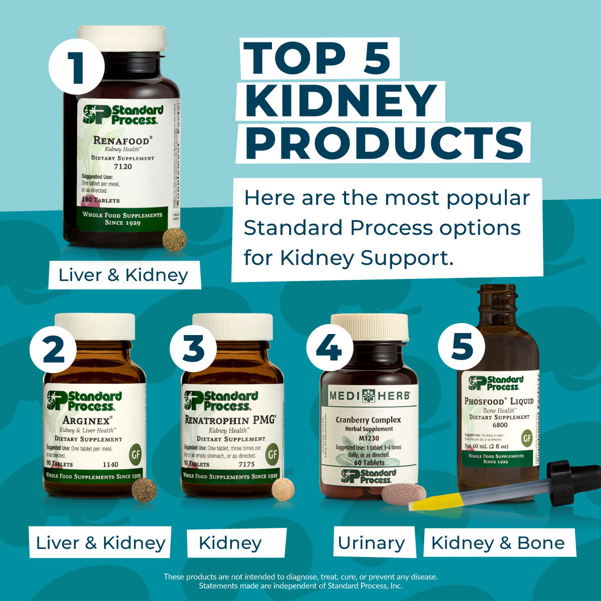kidney-top-5-products-standard-process.jpg__PID:9a8a29e7-1996-4ca6-b2c3-e013c3c328c2