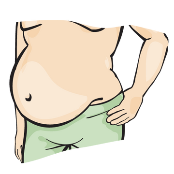 Liver Body Type Stomach 