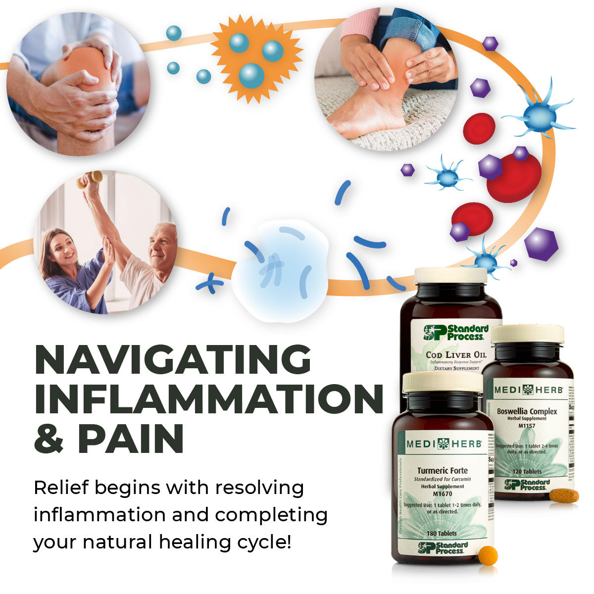 Navigating Pain and Inflammation