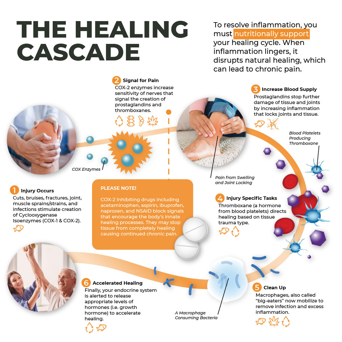 The Healing Cascade