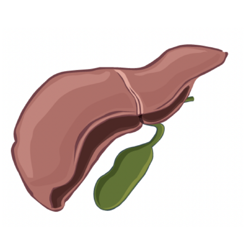 liver symptoms