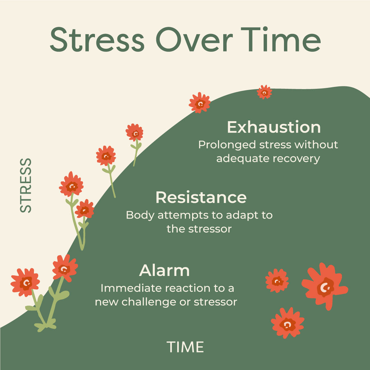 stress-response-time.jpg__PID:b4ba59f4-efd3-4fe7-be39-b471fa851dba